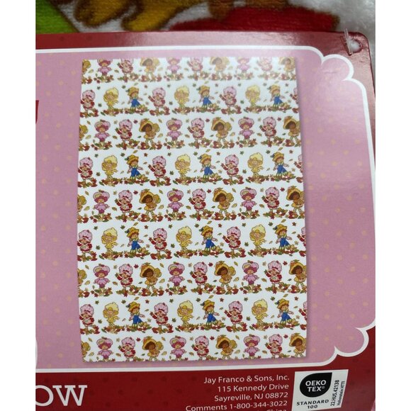 Strawberry Shortcake & Friends FALL  Autumn Soft Plush Throw Blanket 50 X 70” - Picture 4 of 16